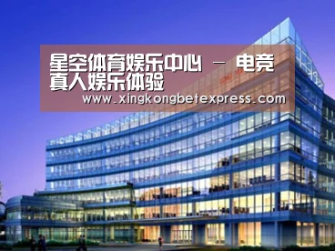 案例展示五