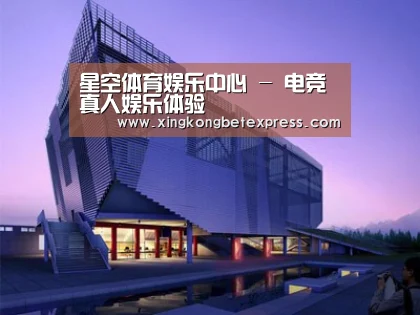 案例展示六