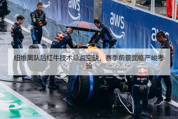 纽维离队后红牛技术总监空缺，赛季前景面临严峻考验
